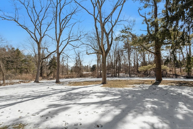 342 Greens Farms Rd, Westport, CT 06880 - view of yard