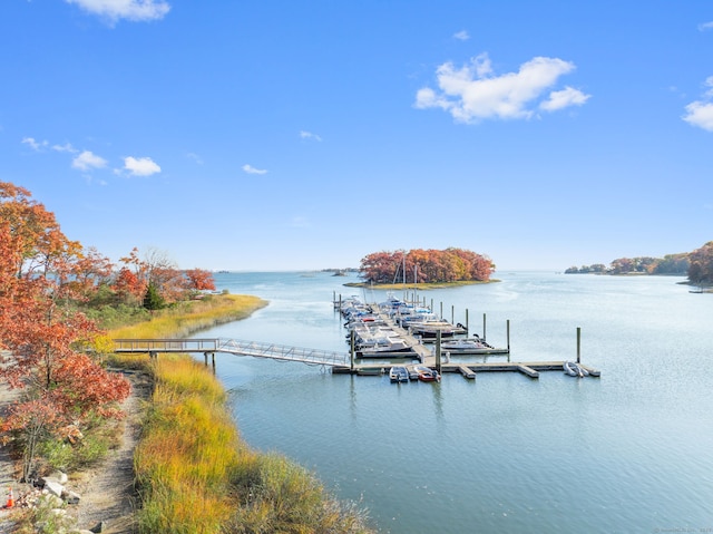 dock area featuring a water view