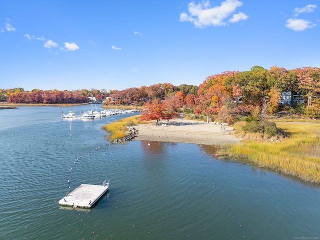 view of water feature featuring a floating dock