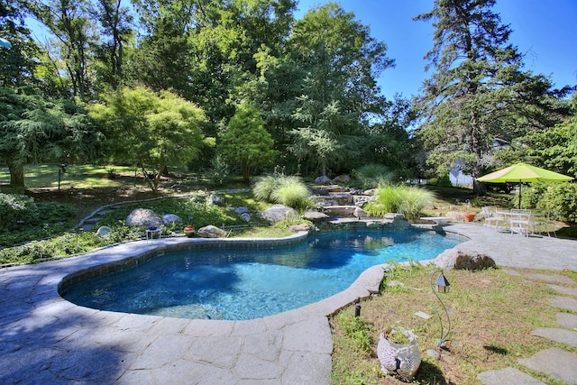 pool featuring a patio area