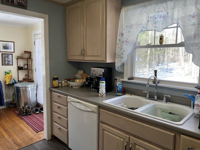 kitchen featuring light brown cabinets, a sink, ornamental molding, dishwasher, and dark wood finished floors