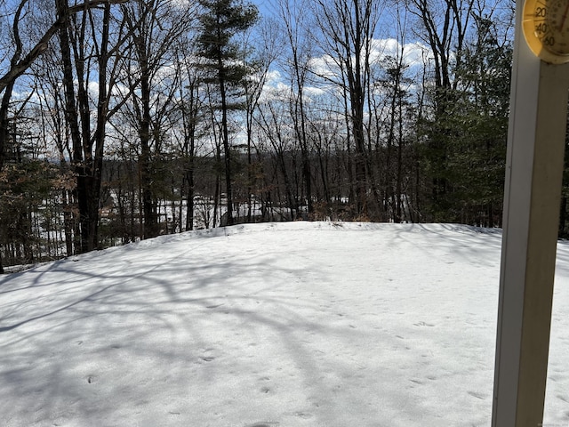 view of snowy yard