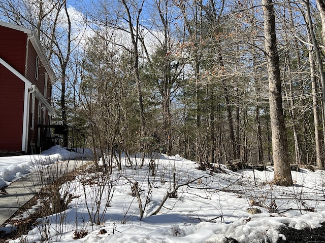 view of snowy yard