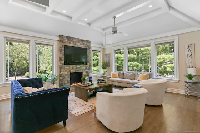 living area with plenty of natural light, a fireplace, wood finished floors, and baseboards