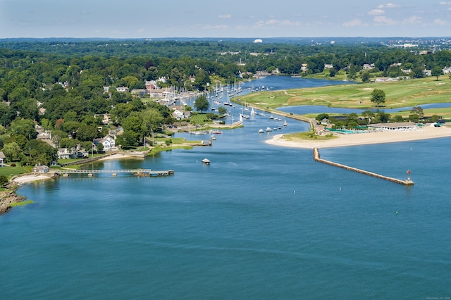 bird's eye view featuring a water view and a view of trees