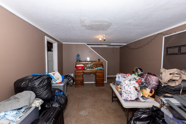 interior space with carpet floors and attic access