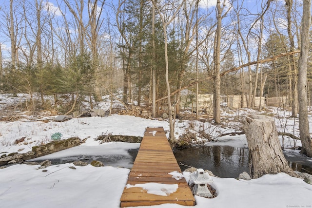 view of yard covered in snow