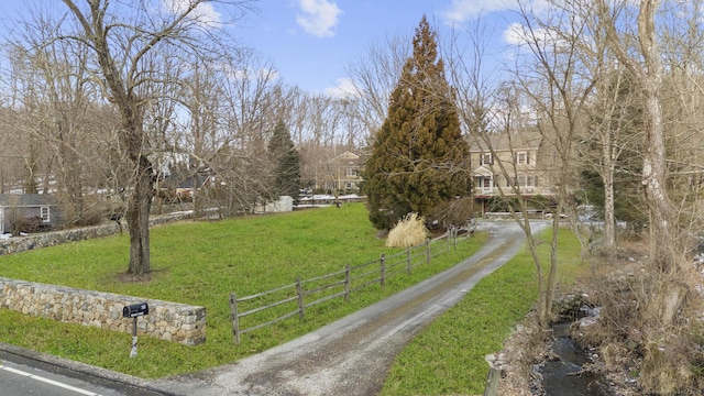 view of street with driveway