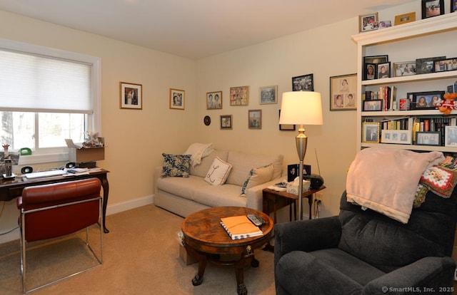 living area featuring carpet