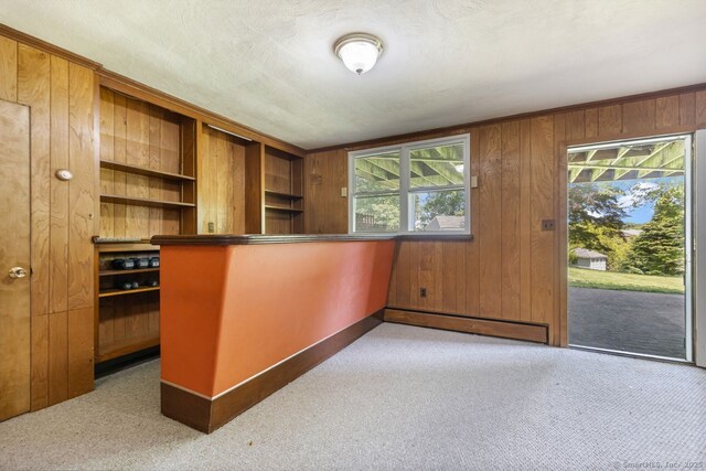 29 Maplewood Dr, Greenwich, CT 06807 - unfurnished office with wood walls, carpet floors, and baseboard heating