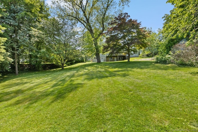 29 Maplewood Dr, Greenwich, CT 06807 - view of grassy yard