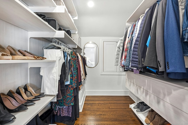 walk in closet featuring wood finished floors