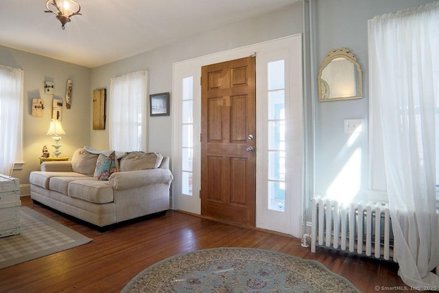 entrance foyer with radiator and wood finished floors