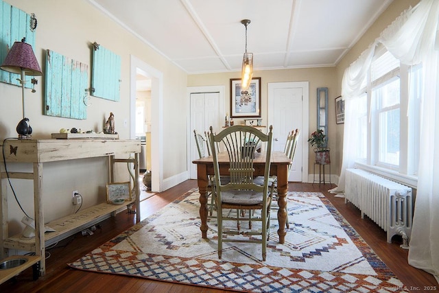 dining area featuring baseboards, radiator heating unit, and wood finished floors