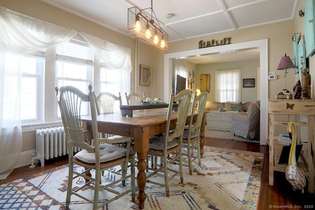 dining space with wood finished floors and radiator