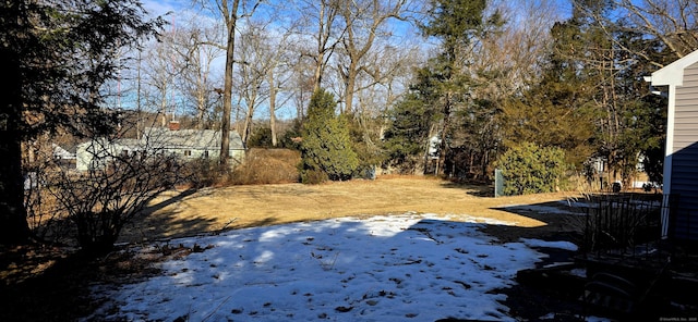 view of snowy yard