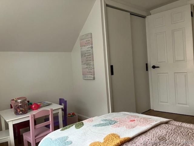 bedroom featuring lofted ceiling, a closet, and wood finished floors