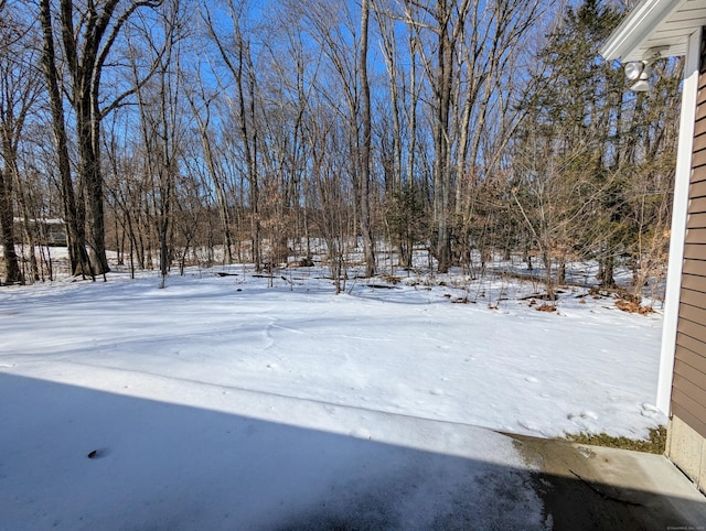 view of yard covered in snow