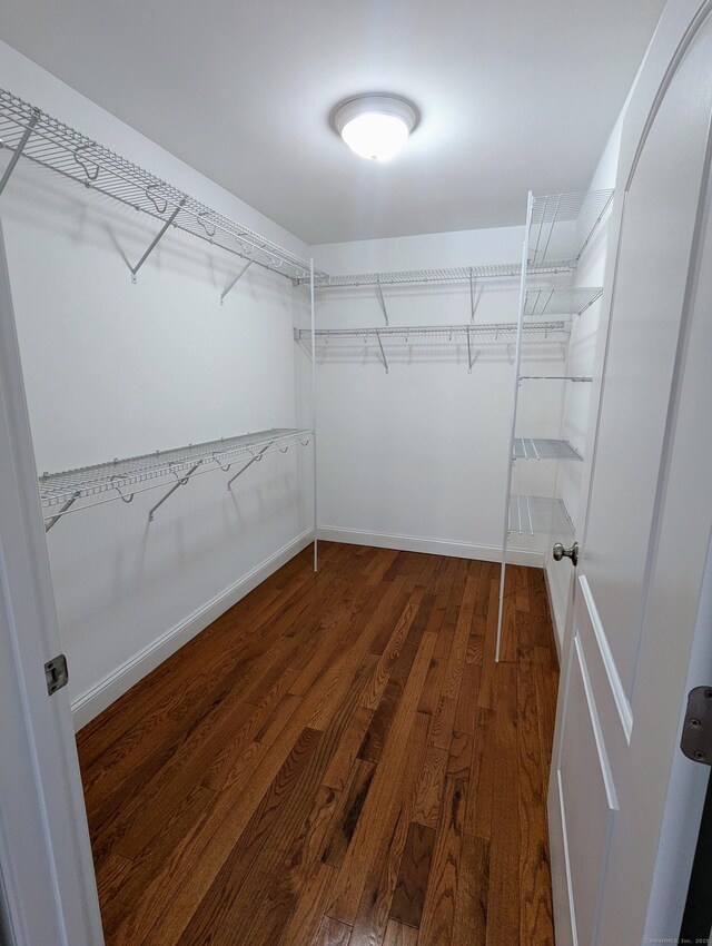 walk in closet featuring dark wood-style flooring