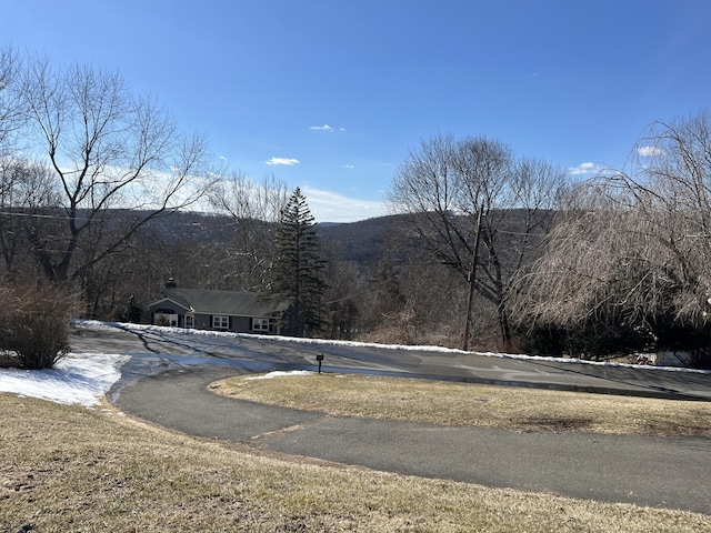 view of street featuring a wooded view