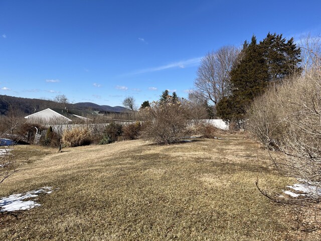 view of yard with a mountain view