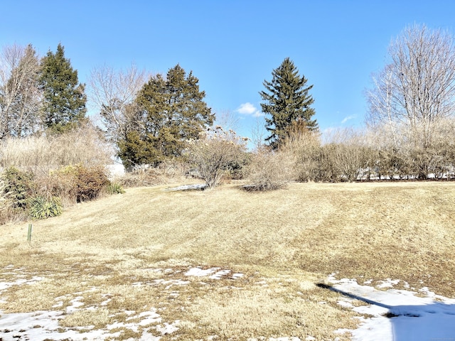 view of snowy view