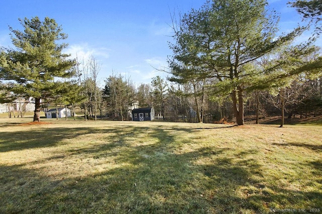 view of yard featuring an outbuilding and a shed