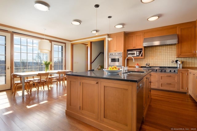 kitchen with wood finished floors, a sink, wall chimney range hood, appliances with stainless steel finishes, and tasteful backsplash