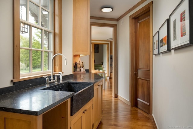 kitchen featuring ornamental molding, a sink, baseboards, and wood finished floors