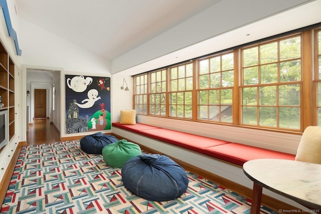 interior space with lofted ceiling and wood finished floors