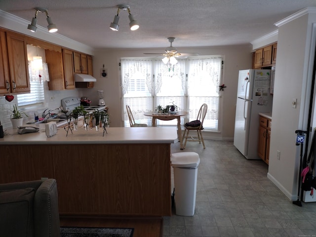 kitchen featuring a peninsula, white appliances, plenty of natural light, and under cabinet range hood