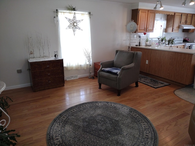 sitting room featuring light wood-style flooring, visible vents, and baseboards