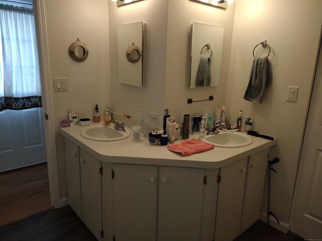 full bathroom featuring wood finished floors, a sink, and double vanity