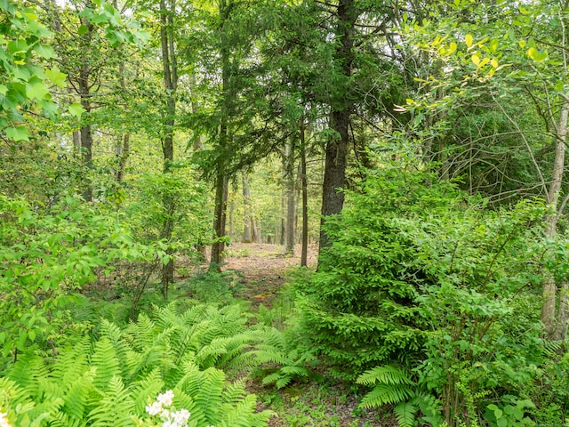 S Salem Rd, Ridgefield, CT 06877