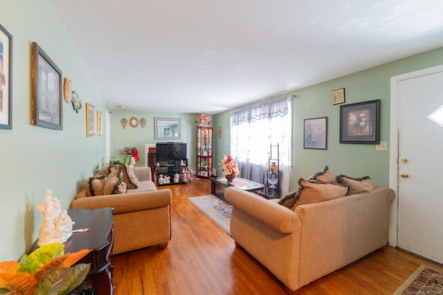 living area featuring wood finished floors