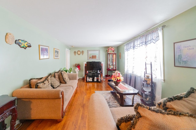 living area with wood finished floors