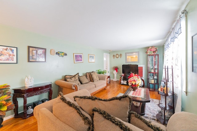 living area with wood finished floors