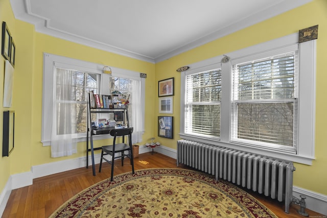 office area featuring radiator, hardwood / wood-style flooring, and baseboards