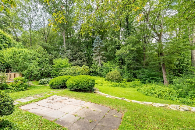 30 Holly Cir, Windsor, CT 06095 - view of green lawn with a deck, a wooded view, and a patio area