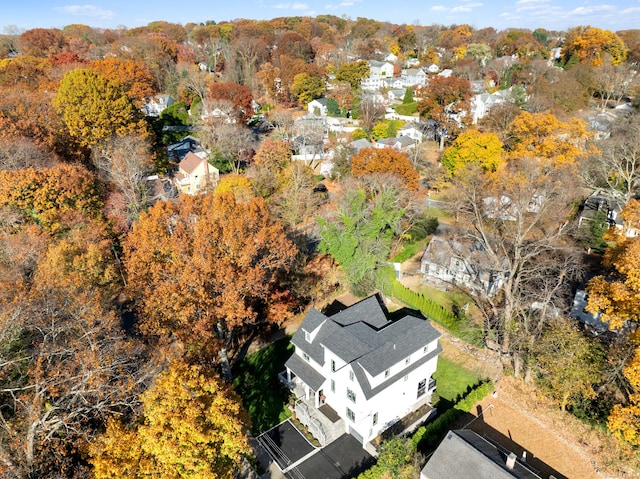 bird's eye view