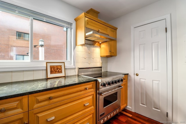 kitchen with tasteful backsplash, high end stove, under cabinet range hood, dark wood finished floors, and dark stone counters