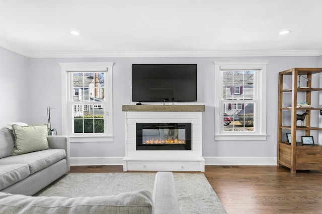 living room featuring a wealth of natural light, a glass covered fireplace, baseboards, and wood finished floors