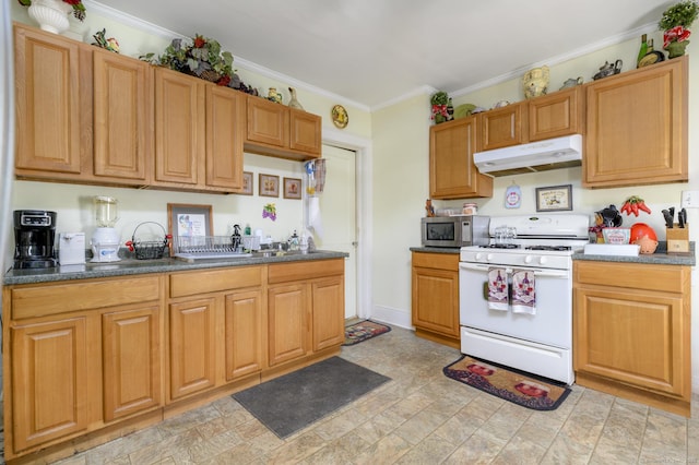 kitchen featuring under cabinet range hood, stainless steel microwave, gas range gas stove, and ornamental molding