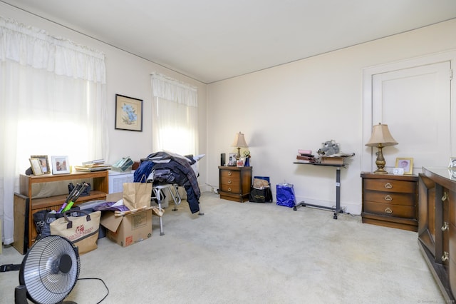 miscellaneous room featuring carpet