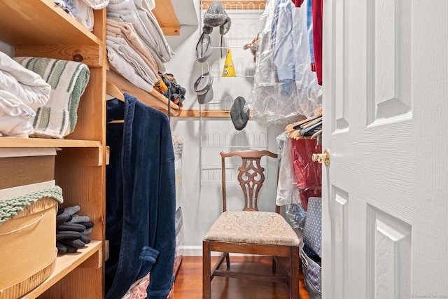 spacious closet featuring wood finished floors