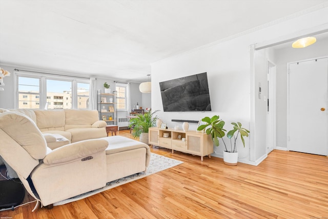 living area featuring radiator, crown molding, baseboards, and wood finished floors