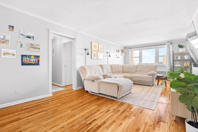 living area featuring ornamental molding, light wood-type flooring, and baseboards