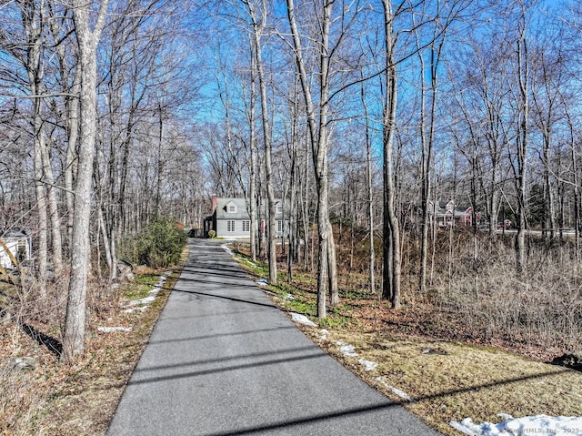 view of street with driveway