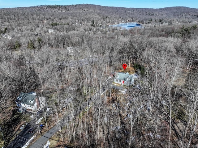 drone / aerial view with a water view and a view of trees