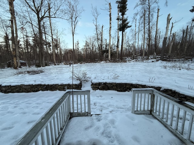 view of yard covered in snow